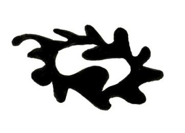 costa de marfil_mancha